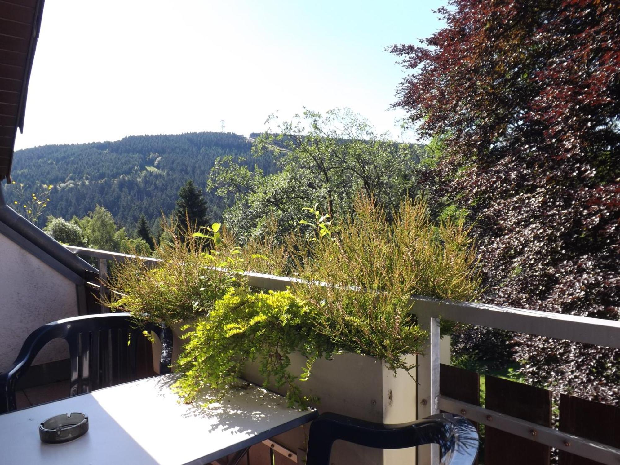 فيلا Residenz Bocksberg-Blick & St. Florian جوسلار المظهر الخارجي الصورة
